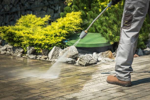 Best Restaurant Pressure Washing  in Mcallen, TX