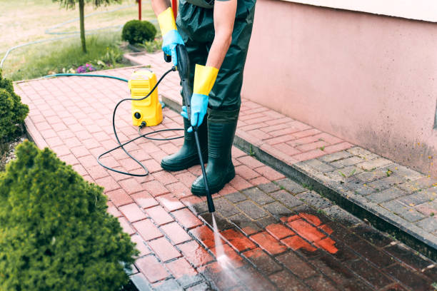 Animal Enclosure Cleaning in Mcallen, TX